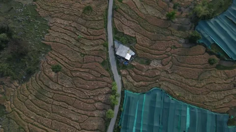 Aerial Top-Down View of Himachal’s Farmlands and Village Terrain Video stock 313382367