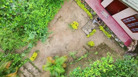 Aerial top down view hipster woman strolls peacefully past into green house.. Stock Footage 309201679
