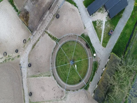 Aerial top down view of horse excercise equipment with horse working out 4k Stock Footage 80289321