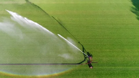 Aerial top down view of irrigation sprinkler 4k Stock Footage 234648768