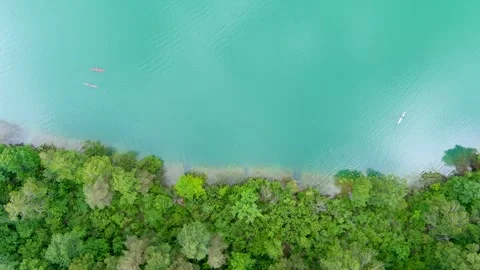 Aerial top-down view of kayaks cruising along emerald tropical lake shore. Vidéo 277918345