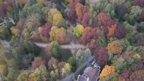 Aerial top-down view of Kislovodsk National Park in autumn Stock Footage 338054299