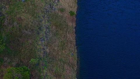 Aerial top-down view of lake shore moving forward Stock Footage 339377577