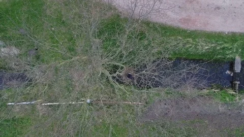 Aerial top down view of lapwing nesting moving down slowly towards bird 4k Stock Footage 77606277
