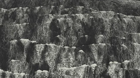 Aerial top down view of large waves in the ocean in black and white Stock Footage 146754818