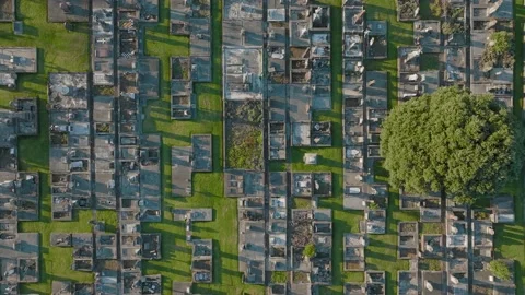 Aerial top down view of a large cemetery Stock-Footage 177783704
