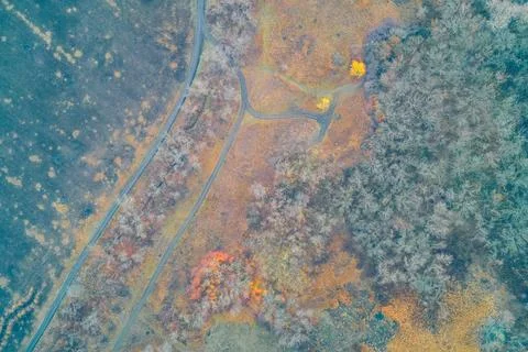 Aerial Top Down View of Late Autumn Forest and Dirt Road Crossings. Seasonal Stock Photos