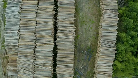 Aerial Top down view of logging, deforestation, environmental destruction. 스톡 동영상 134949679