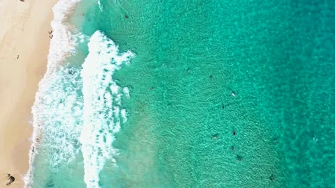 Aerial Top Down view lowering over bodyboarders catching waves at tropical beach Stock Footage 130327428