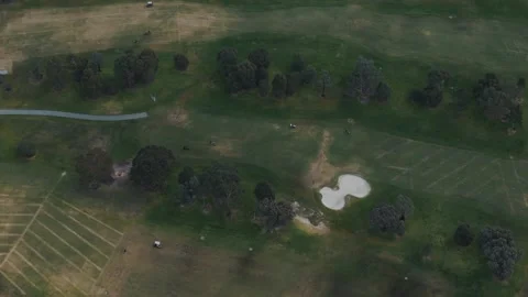 Aerial top-down view of a lush green golf course Video stock 342579072