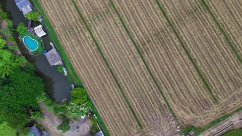 Aerial top down view of luxury rural villa and harvested rice fields 스톡 동영상 334520189