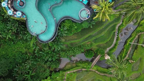 Aerial Top Down View Of Luxury Resort Pool And Rice Terraces In Bali Stock Footage 336323361