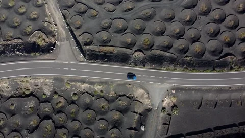 Aerial top down view of Malvasia grapes growing in topsoil 4k Stock Footage 278650436