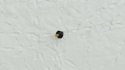 Aerial top-down view of a man launching drone in a snow covered pine forest Vídeo Stock 202087972