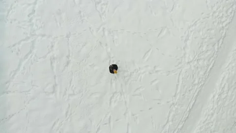 Aerial top-down view of a man launching drone in a snow covered pine forest Stock Footage 222272867