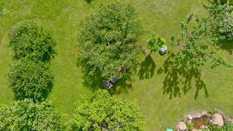 Aerial top-down view of a man mowing grass with petrol lawn mower in a backyard. 库存影片 280757369