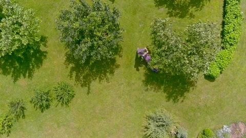 Aerial top-down view of a man mowing grass with petrol lawn mower in a backyard. Stockbeeldmateriaal 301009910