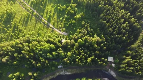 Aerial top down view of mangrove forest, drone flying over tree tops Stock Footage 202083950