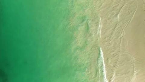 Aerial top down view of minimalist silhouettes of palm tree shadows on beach Stock Footage 305559042