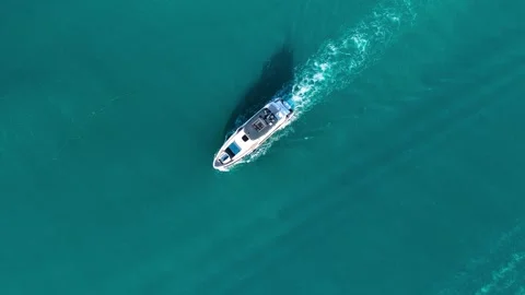 Aerial top down view of motorboat sailing on turquoise sea. Stock Footage 339128264