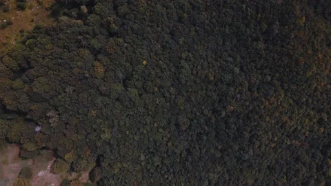 Aerial top down view of the mountain forest in the autumn Stock Footage 139843299