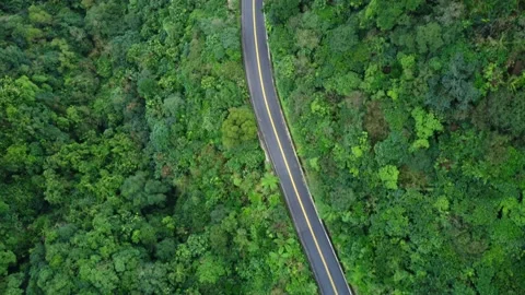 Aerial top down view on the mountain road in forest, Ruifang, New Taipei City, T Stock Footage 146328388