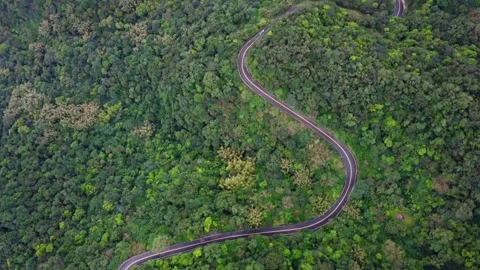 Aerial top down view on the mountain road in forest, Ruifang, New Taipei City, T Stock Footage 146328709