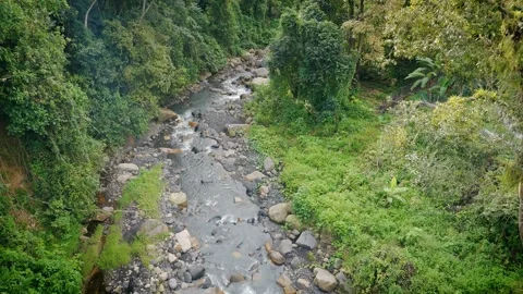 Aerial top-down view of mountain stream flowing over rocks with lush green banks Stock Footage 316792431