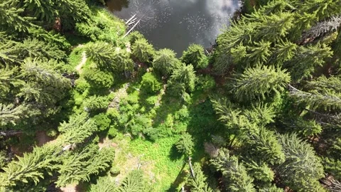 Aerial Top-Down View of Mutnoto Lake, Smolyan Lakes, Rhodope Mountains, Bulgaria Stock Footage 341275749