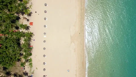 Aerial Top Down View of Nacpan Beach in El Nido, Palawan Island, Philippines Stock Footage 144815331
