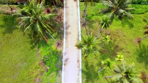 Aerial top-down view of a narrow road cutting through a lush tropical landscape 스톡 동영상 331052981