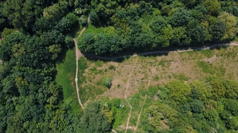 Aerial top down view of nature trails on Drachenberg in Grunewald Forest Berl 스톡 동영상 249111141