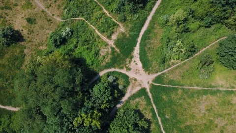 Aerial top down view of nature trails on Drachenberg in Grunewald Forest Berl 스톡 동영상 249111194