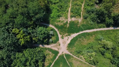 Aerial top down view of nature trails on Drachenberg in Grunewald Forest Berl 스톡 동영상 249111213