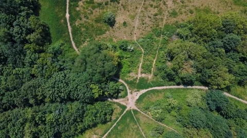 Aerial top down view of nature trails on Drachenberg in Grunewald Forest Berl 스톡 동영상 249111232