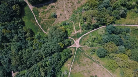 Aerial top down view of nature trails on Drachenberg in Grunewald Forest Berl 스톡 동영상 249111252