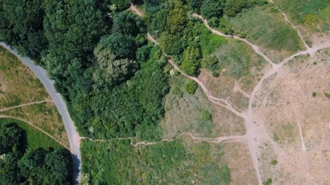 Aerial top down view of nature trails on Drachenberg in Grunewald Forest Berl 스톡 동영상 249111267