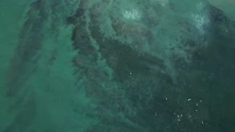 Aerial Top Down View of Ocean Waves Crashing into White Foam Below Stock-Footage 246408366