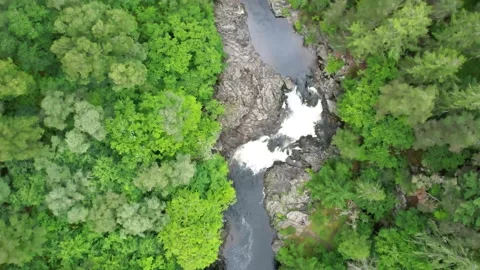 Aerial - Top Down View Over the River Surrounded with Forest Stock Footage 157022636