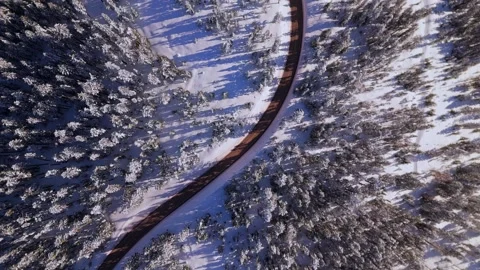 Aerial Top-Down View Over Snow-Covered Trees and Winding Road on a Sunny Day Stock Footage 301821419