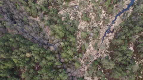 Aerial top down view over a Norwegian forest with a winding river flowing into a Video stock 335198965