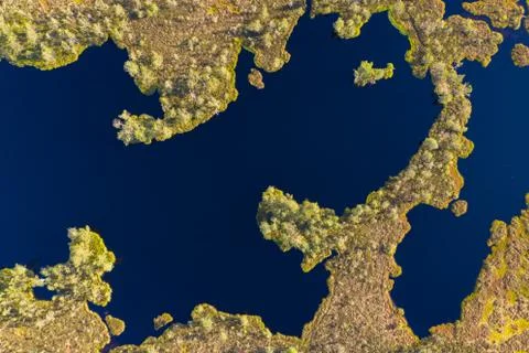 Aerial top down view over peat-bog landscape with lake and pool patterns. Foto stock