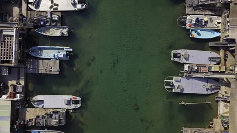 Aerial top down view of oyster farming boats in Leucate France Stock Footage 337880427