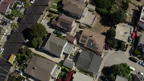 Aerial Top Down View of Palm Trees and Houses in Echo Park Los Angeles Stock Footage 346656223