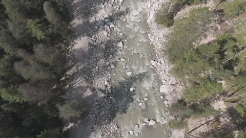 Aerial Top-Down View of Parvati River and Pine Trees in Kasol Autumn Stock Footage 321115313