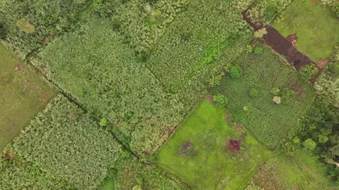Aerial top-down view of patchwork fields Stock Footage 320563692