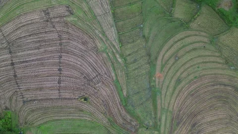 Aerial top-down view of Patterned Fields Stretch Across Guimaras Island's Stock Footage 333634702
