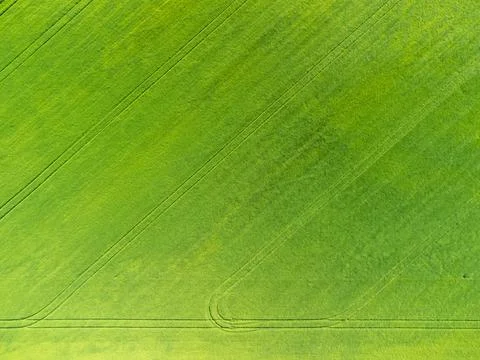 Aerial top down view of patterns in a barley field Stock Photos