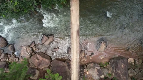 Aerial top down view of a pedestrian bridge in the Brazilian jungle with Stock Footage 228867657