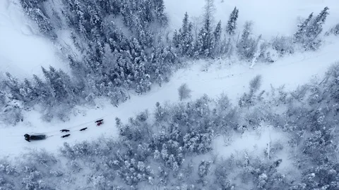 Aerial top down view of people dog sledding through remote wilderness Video stock 124107404
